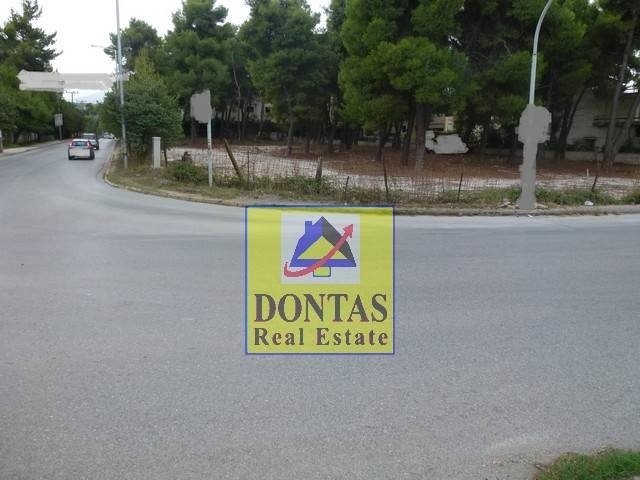 Land in Dionysos, Attica, Greece 1 - 17835285