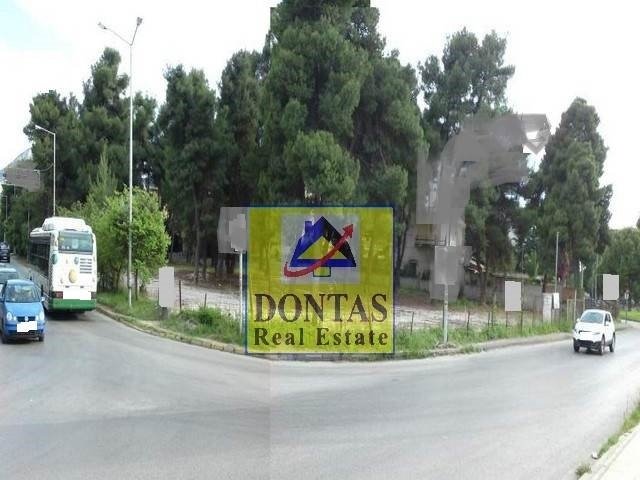 Land in Dionysos, Attica, Greece 5 - 17835285