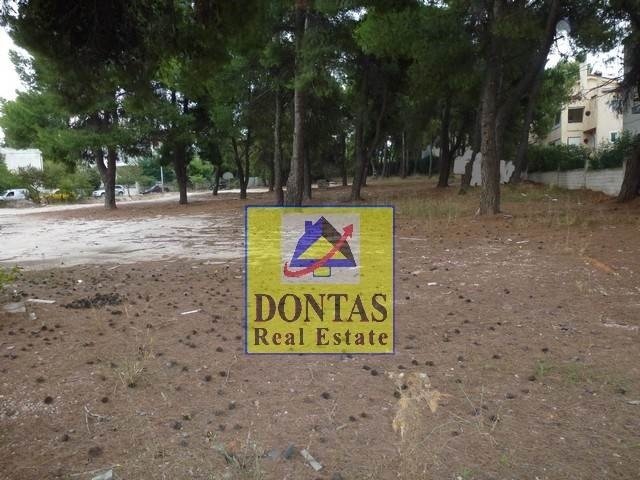 Land in Dionysos, Attica, Greece 2 - 17835285