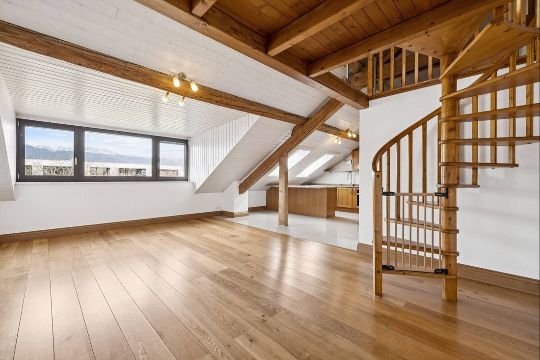 Spacious, Charming Apartment In The Heart Of Meyrin Village