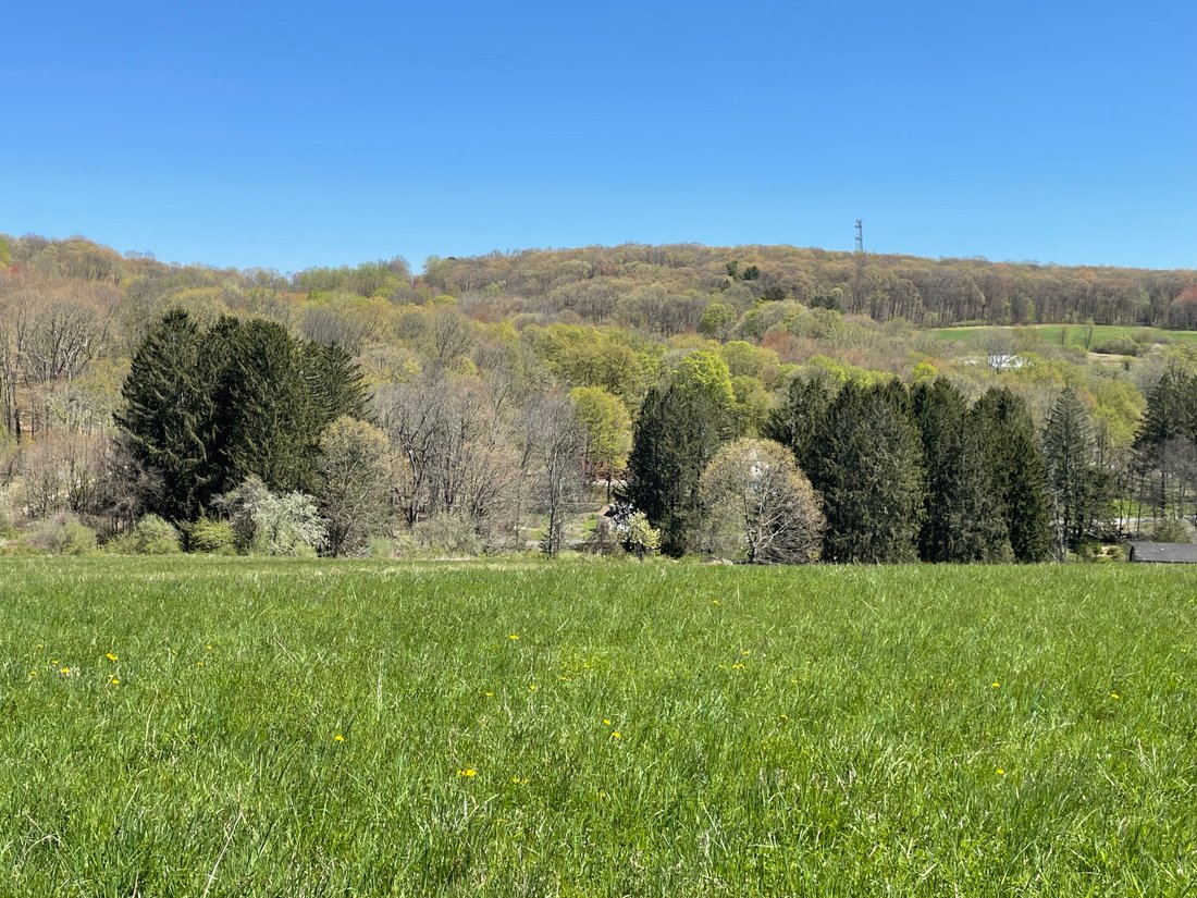 Land in Roxbury, Connecticut, United States 5 - 17835629