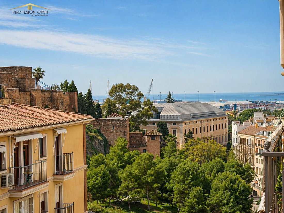 Apartment in Centro, Malaga, Spain 2 - 17835854