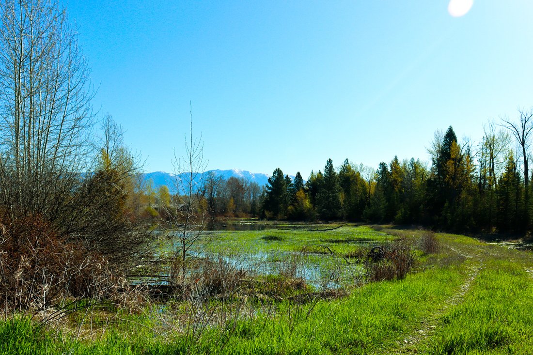 Land in Kalispell, Montana, United States 5 - 17835809
