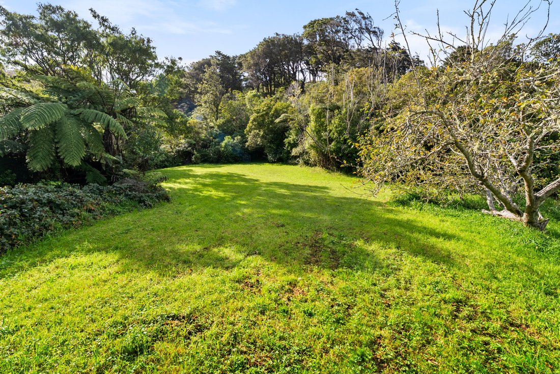 Lower Hutt, Wellington, New Zealand 1 - 17835966