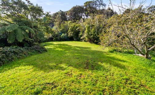 Lower Hutt, Wellington, New Zealand 1