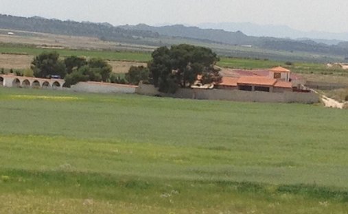 Land in Jumilla, Región de Murcia, Spain 1