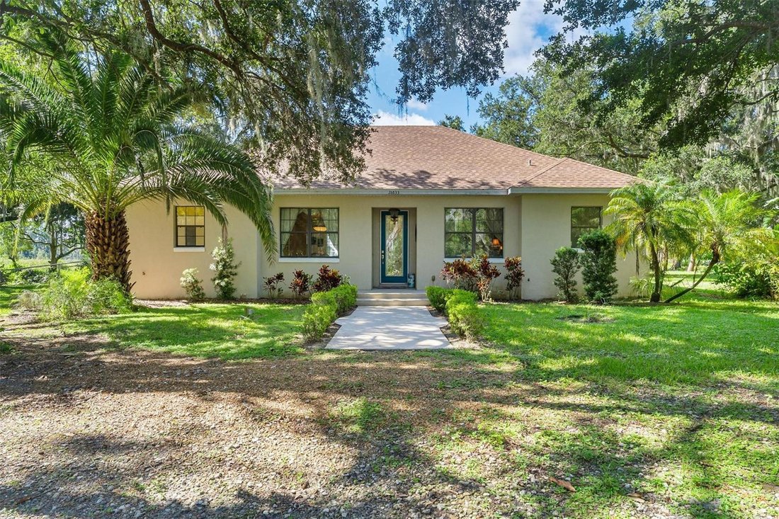 House in Yalaha, Florida, United States 1 - 17836674