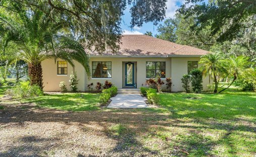 House in Yalaha, Florida, United States 1