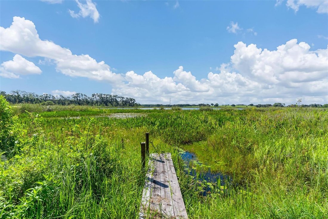 House in Yalaha, Florida, United States 3 - 17836674