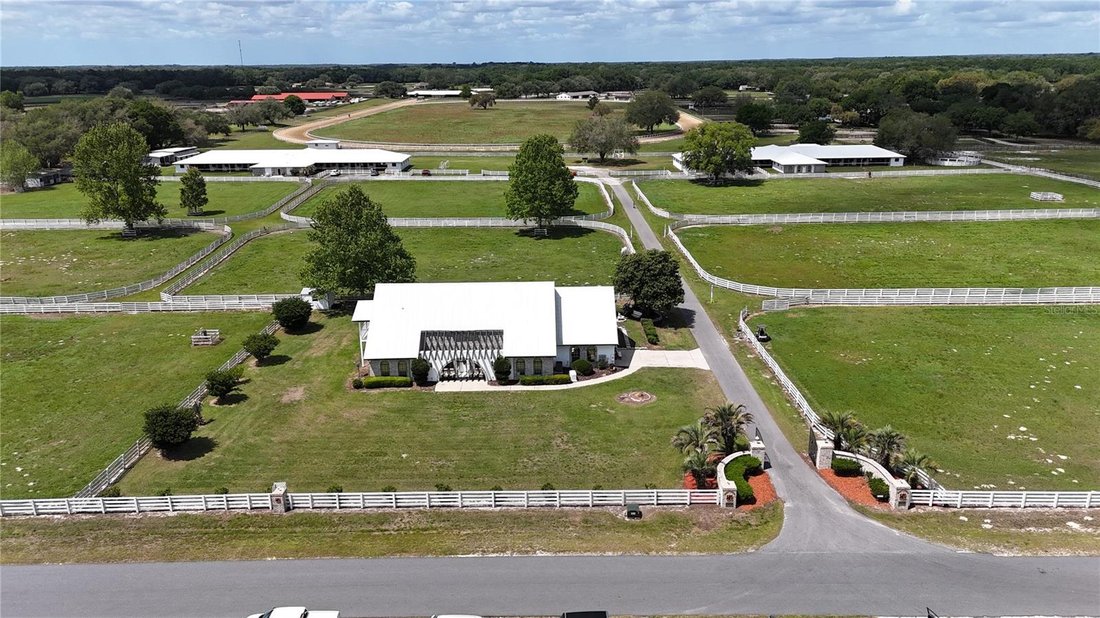Farm Ranch in Morriston, Florida, United States 5 - 17836642