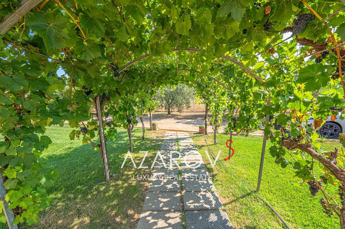 Villa in Montalto di Castro, Lazio, Italy 3 - 16088066