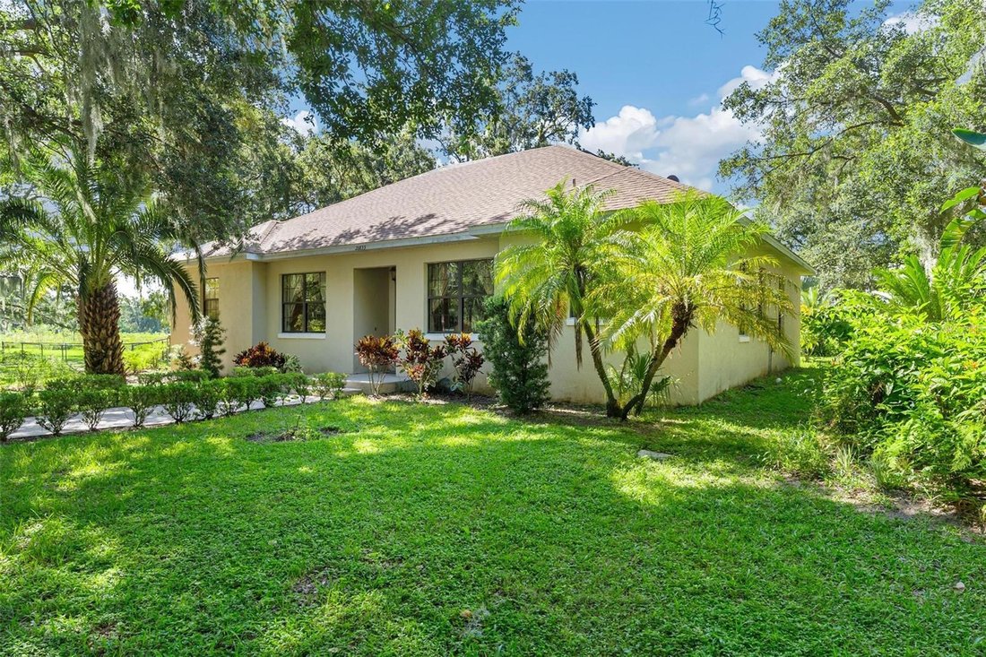 House in Yalaha, Florida, United States 5 - 17836674