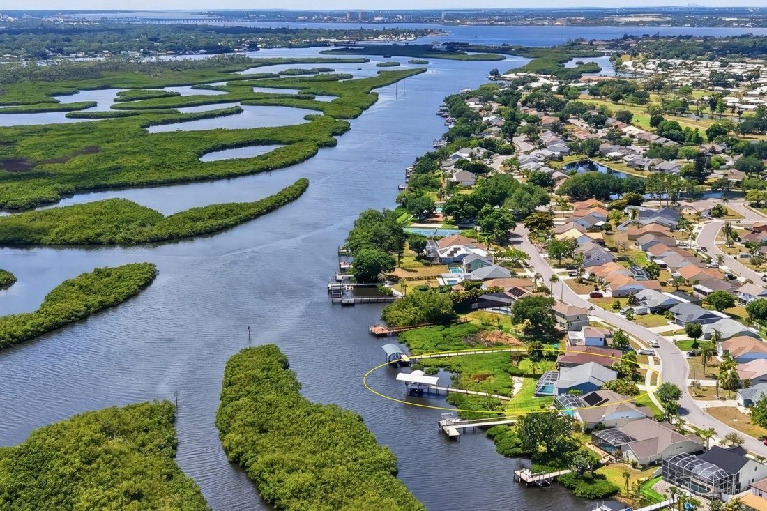House in Bradenton, Florida, United States 1 - 17836664