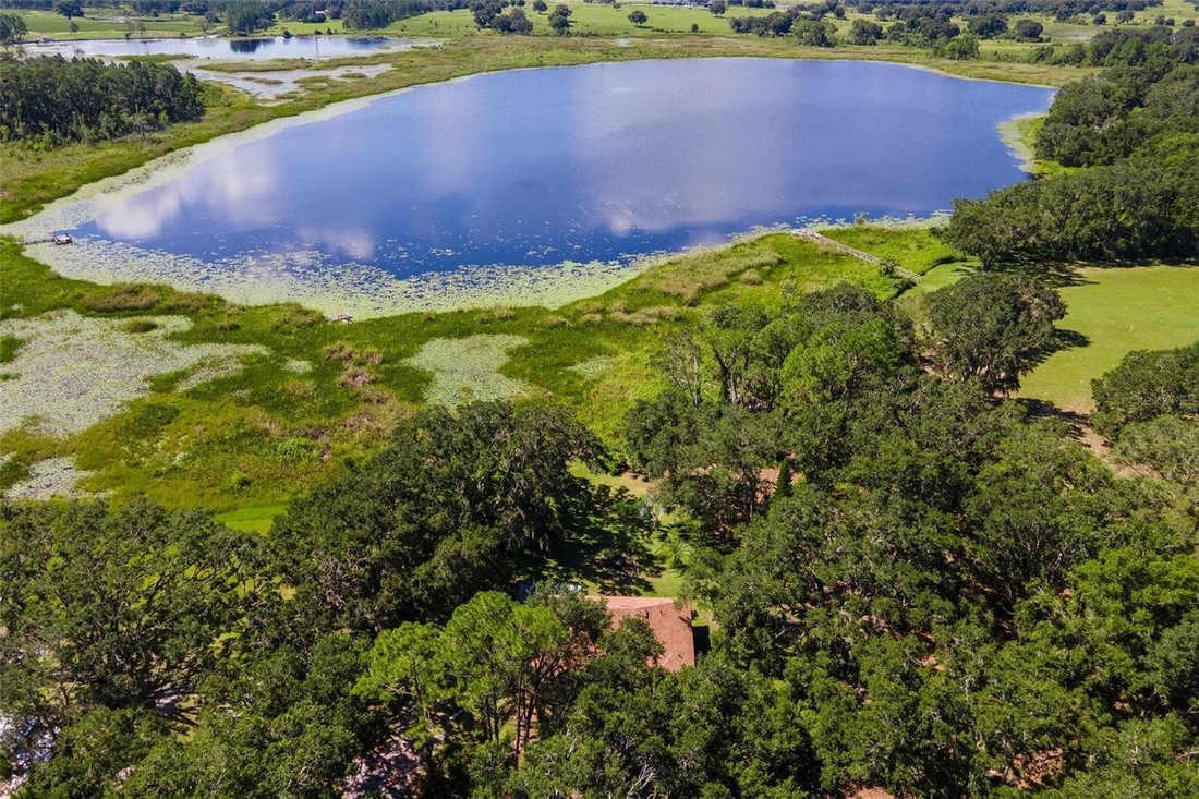 House in Yalaha, Florida, United States 4 - 17836674