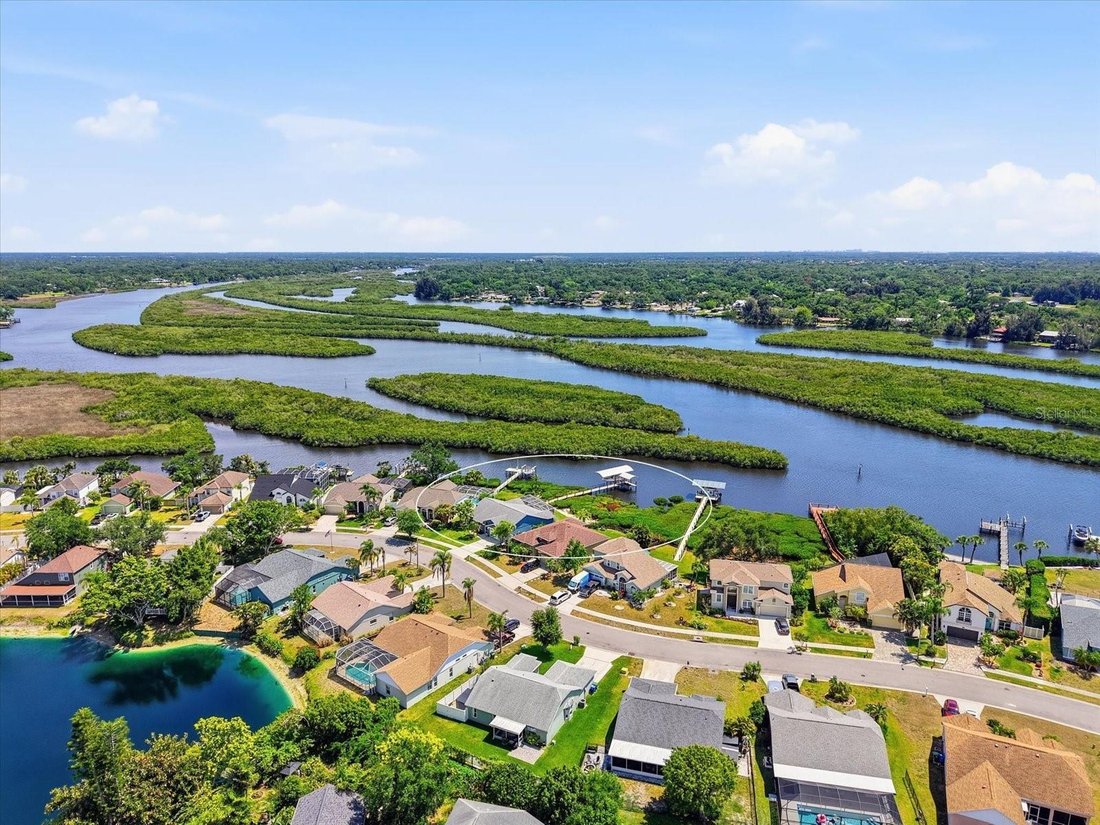 House in Bradenton, Florida, United States 1 - 17836664