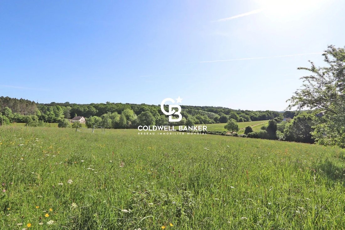 House in Sainte Foy des Vignes, Bergerac, France 5 - 17837565