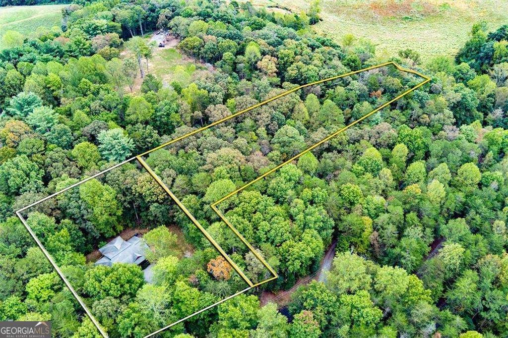 House in Ellijay, Georgia, United States 5 - 17836768