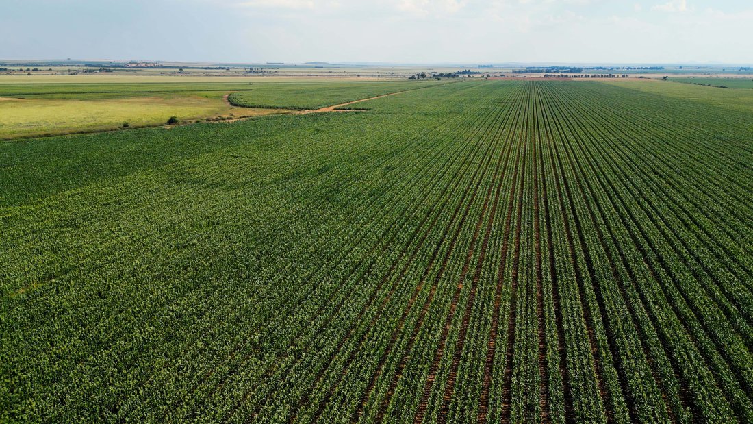 Land in Hennenman, Free State, South Africa 3 - 17837744