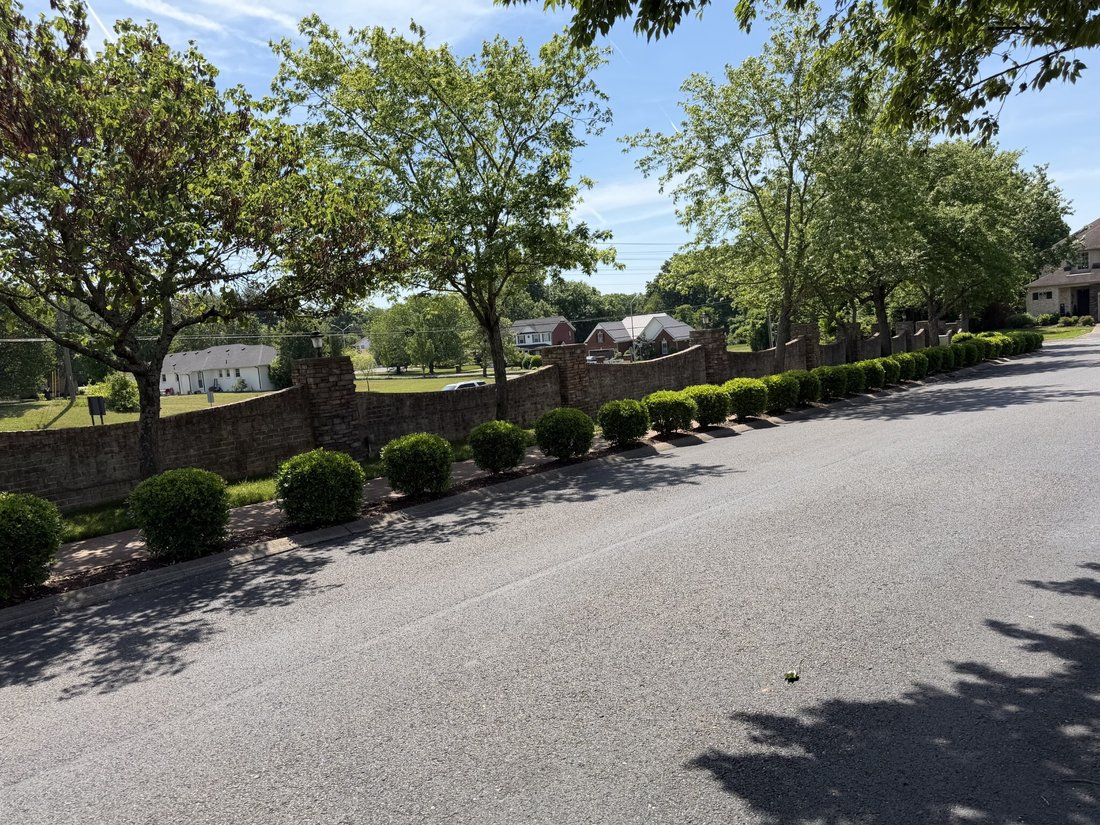 House in Murfreesboro, Tennessee, United States 5 - 17839057