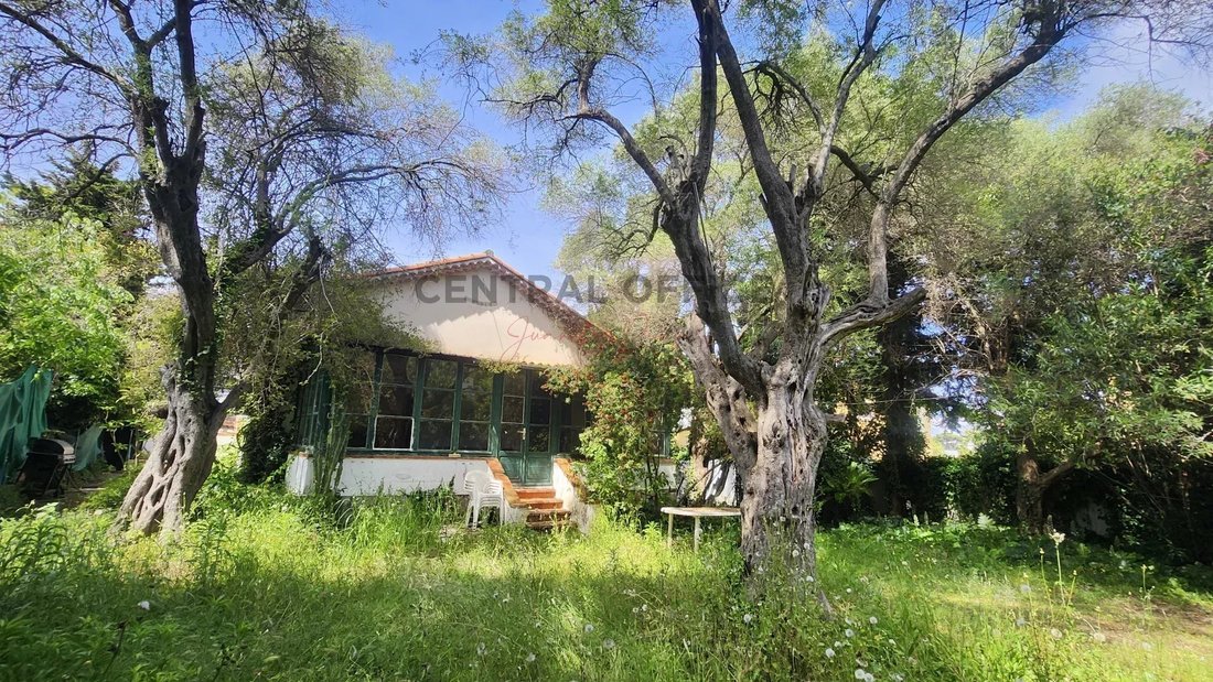 House in Juan les Pins-Gallice, Antibes, France 1 - 17837403