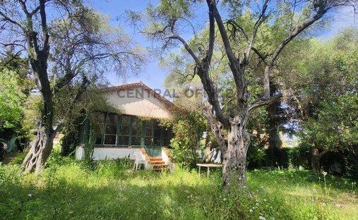 House in Juan les Pins-Gallice, Antibes, France 1