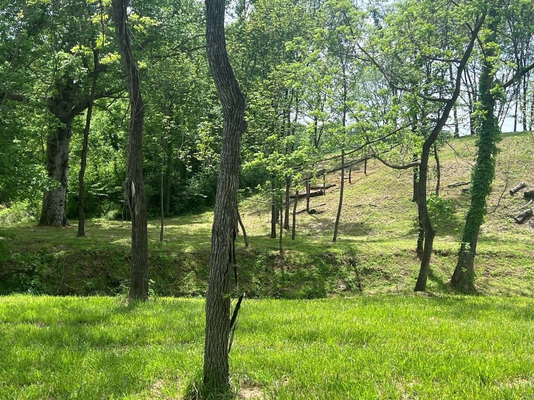 House in Smyrna, Tennessee, United States 5 - 17840241