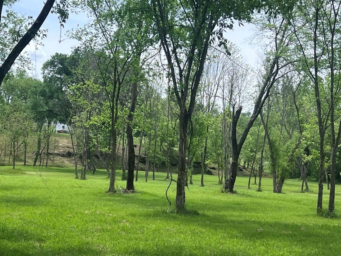 House in Smyrna, Tennessee, United States 4 - 17840241