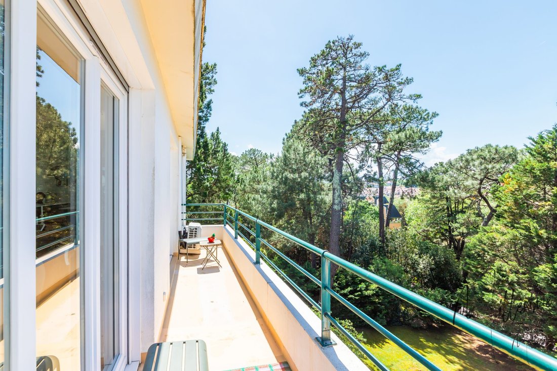 Apartment in Biarritz, Nouvelle-Aquitaine, France 2 - 17841005