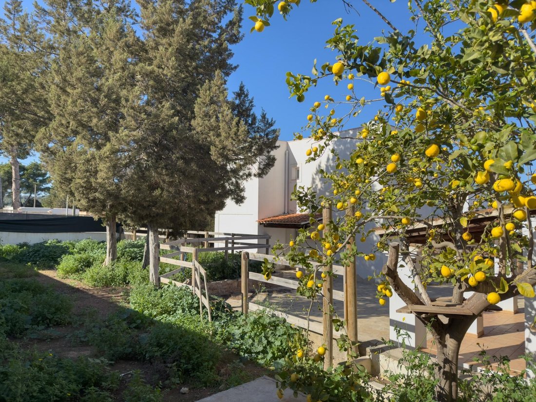 Chalet in Sant Josep de sa Talaia, Balearic Islands, Spain 4 - 17840102