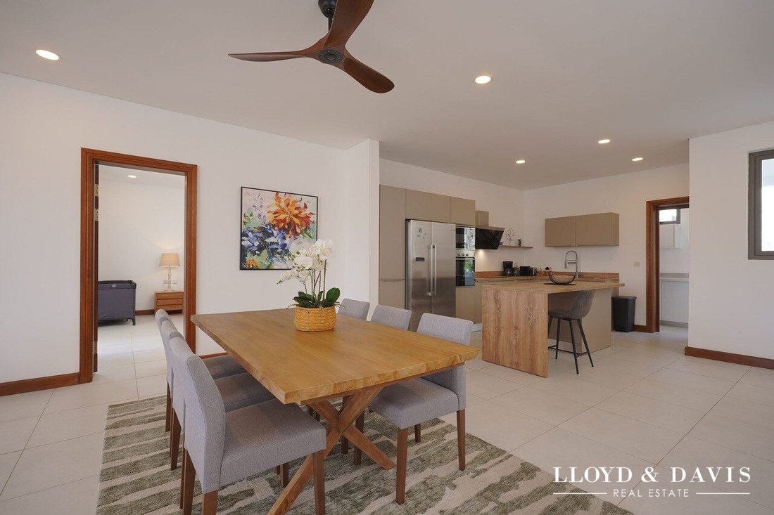 Apartment in Grand Baie, Pamplemousses District, Mauritius 4 - 17841026