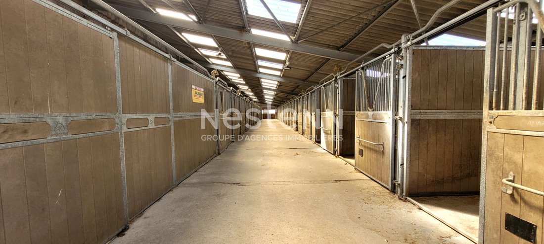 Sandillon, Centre-Val de Loire, France 4 - 17840035