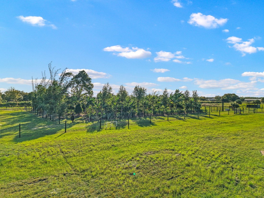 Farm Ranch in The Acreage, Florida, United States 4 - 17840189