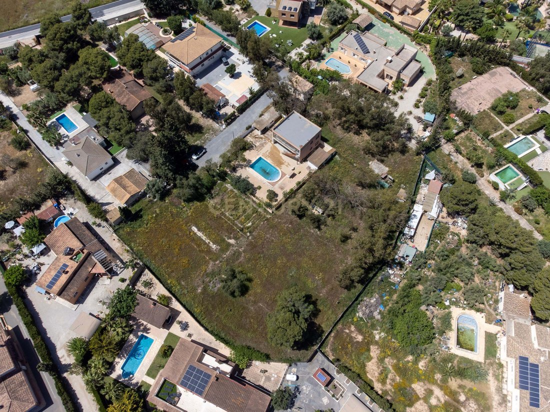 Villa in Sant Vicent del Raspeig, Valencian Community, Spain 4 - 17839722