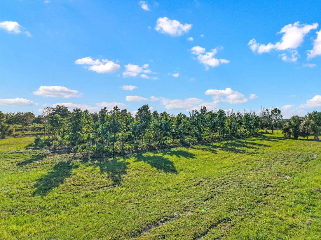 Farm Ranch in The Acreage, Florida, United States 2 - 17840189