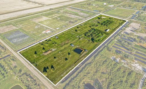 Farm Ranch in The Acreage, Florida, United States 1