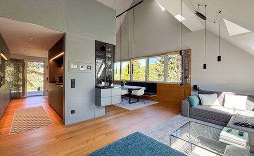 Penthouse in Linz, Upper Austria, Austria 1