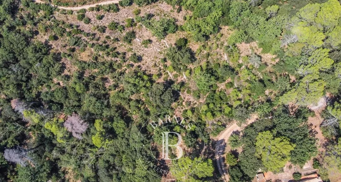 Land in Bagnols-en-Forêt, Provence-Alpes-Côte d'Azur, France 4 - 17561010