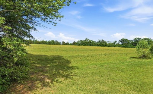 Azienda agricola a Greenville, Carolina del Sud, Stati Uniti 1