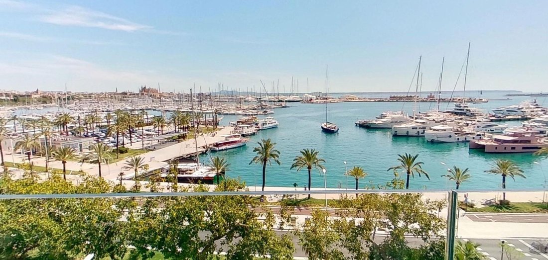 Apartment in Palma, Balearic Islands, Spain 1 - 17839601