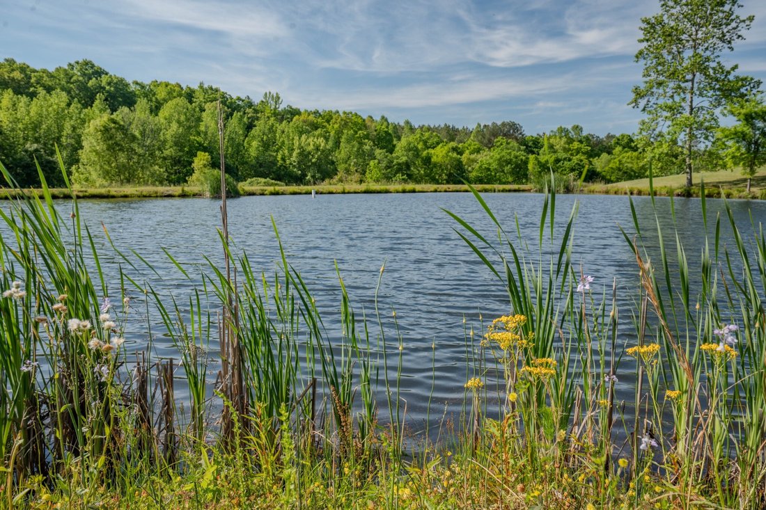 Land in Westpoint, Tennessee, United States 2 - 16788956