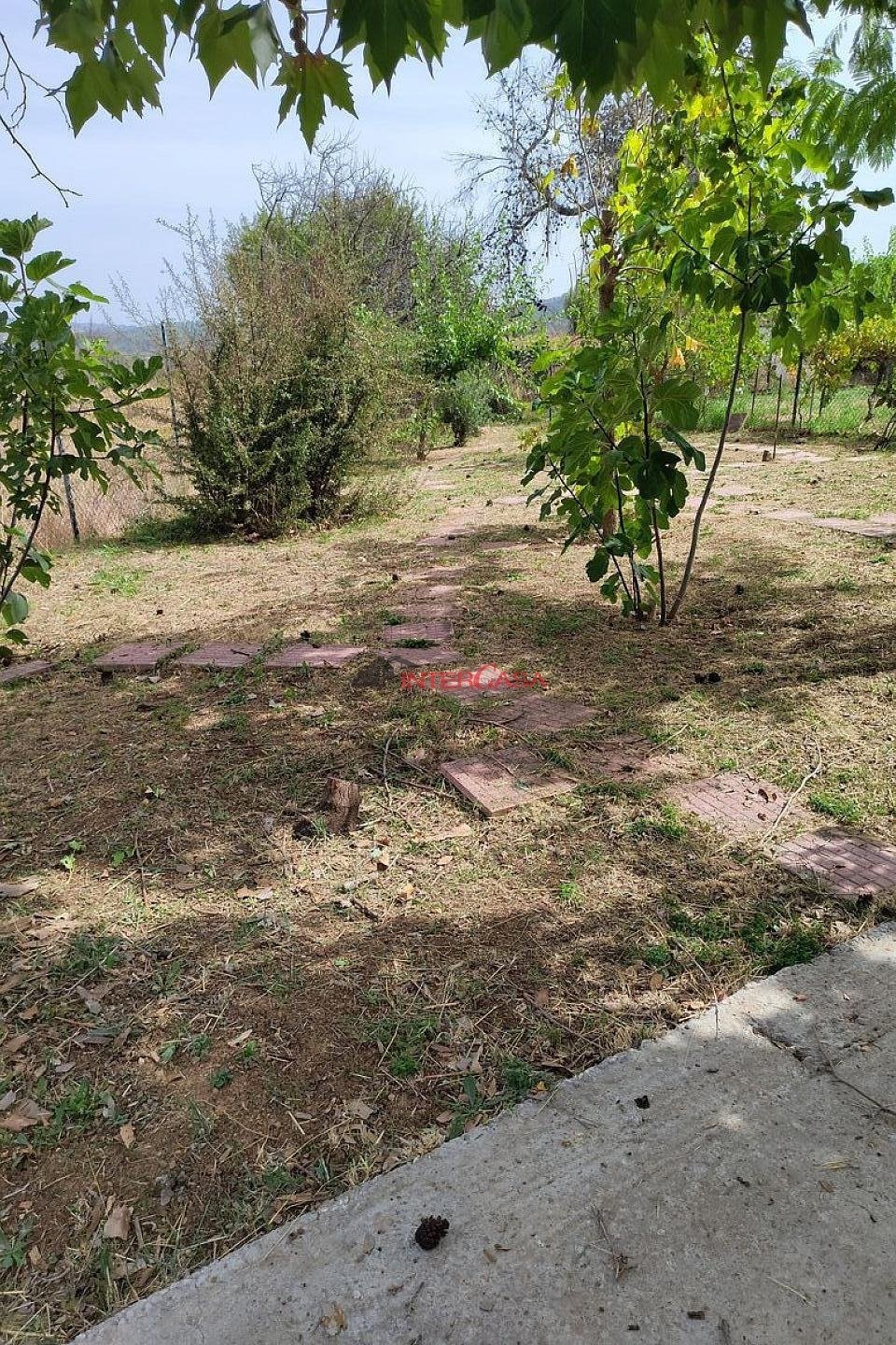 House in Oropos, Attica, Greece 2 - 17840767