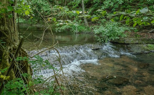 Land in Westpoint, Tennessee, Vereinigte Staaten 1