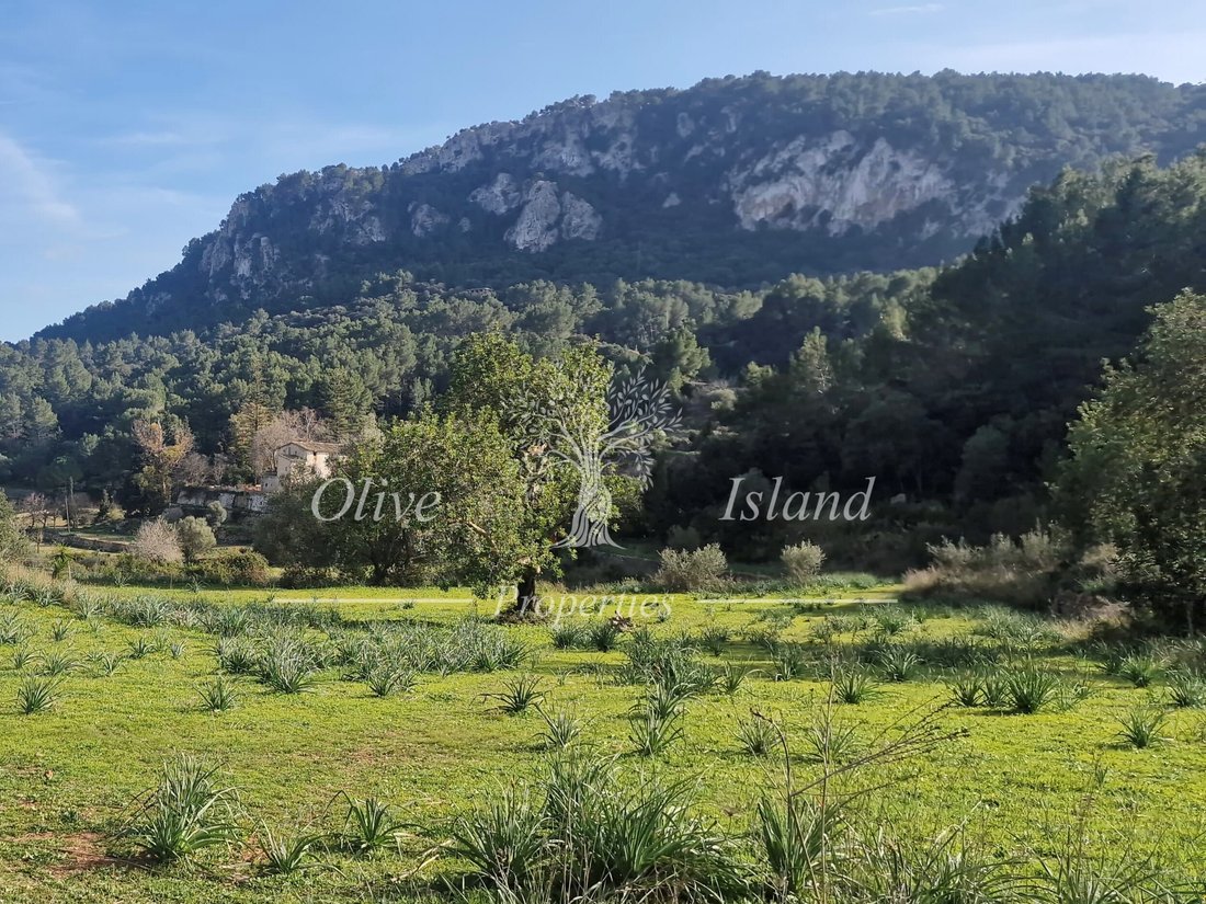 House in Esporles, Balearic Islands, Spain 3 - 17840099
