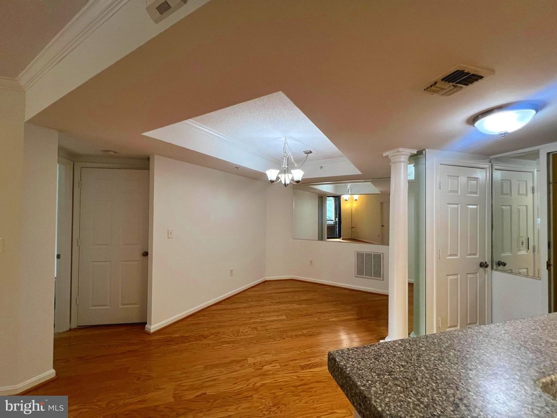 Condo in Arlington, Virginia, United States 5 - 17840374