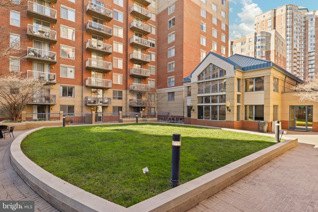 Condo in Arlington, Virginia, United States 1 - 17840374