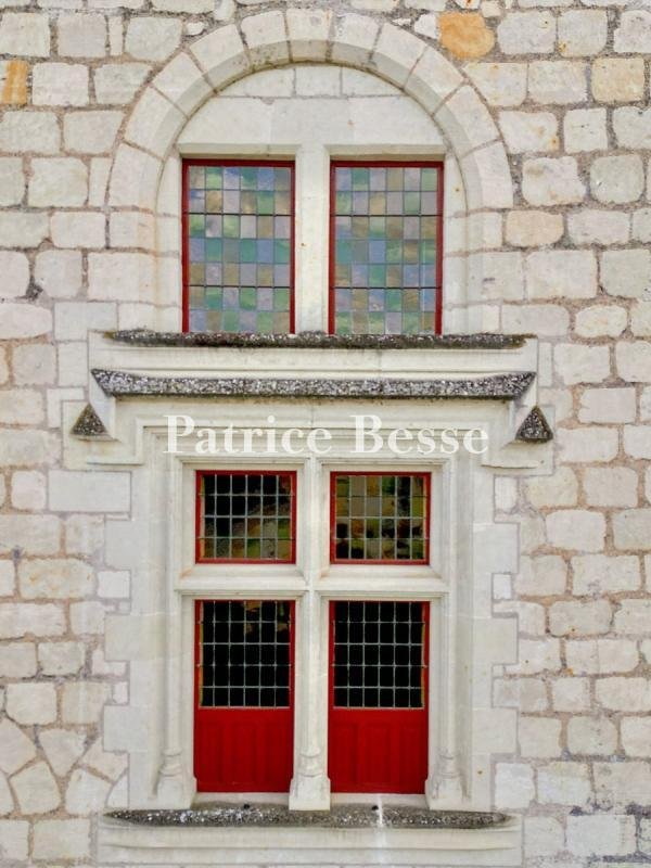 Haus in Montsoreau, Pays de la Loire, Frankreich 3 - 17839743