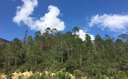 Land in Arteaga, Coahuila, Mexiko 1