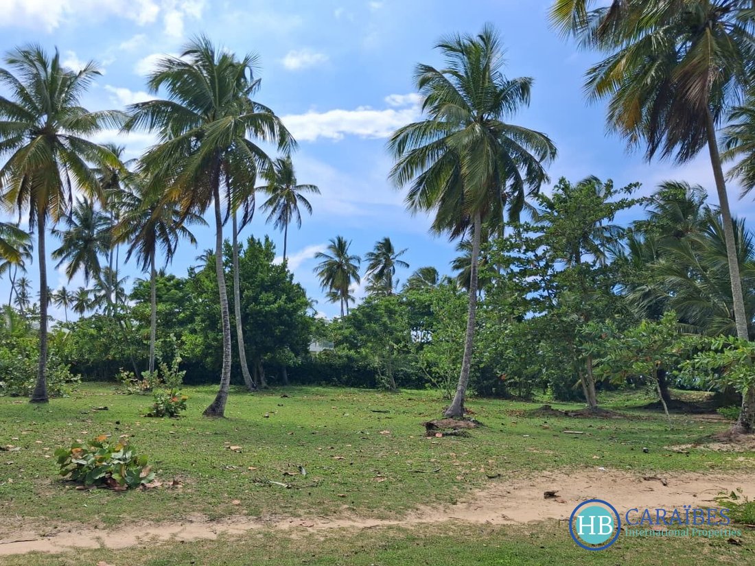 Terrain à Las Terrenas, Santa Bárbara de Samaná, République dominicaine 2 - 17840902