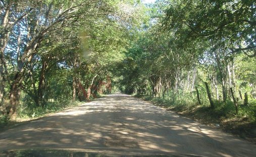 Land in El Chinal, Campeche, Mexiko 1