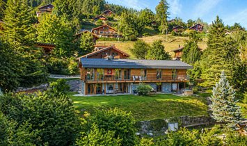 Chalet in Gryon, Vaud, Switzerland 1